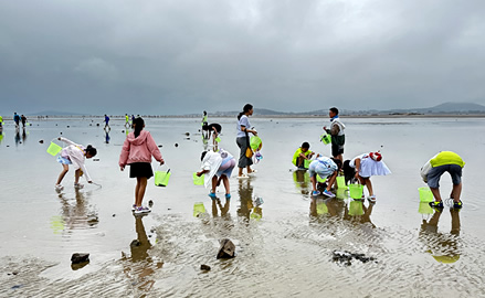 鱼跃台儿庄夏令营赶海活动